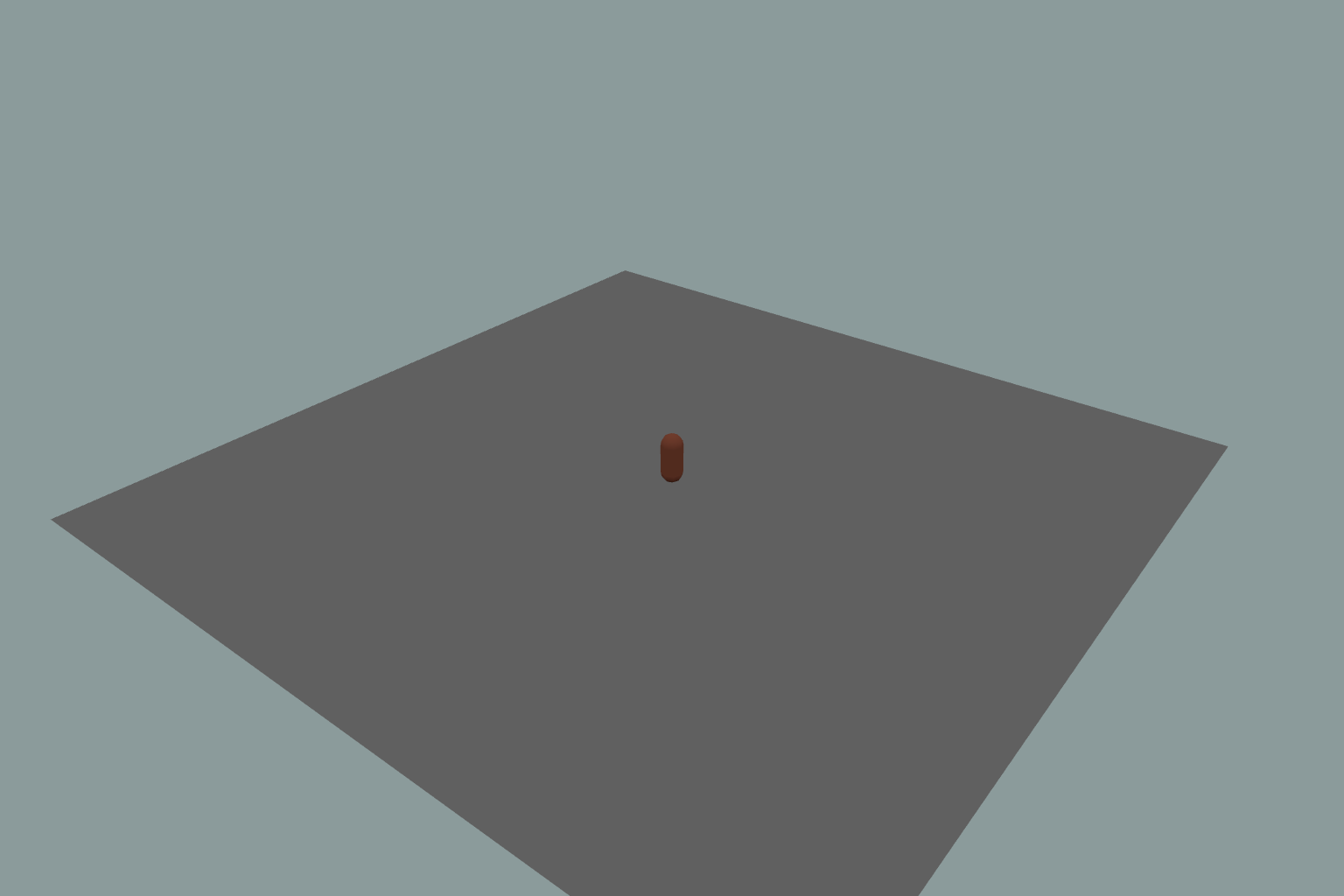 The shared starting scene: a gray plane and a rust-colored capsule